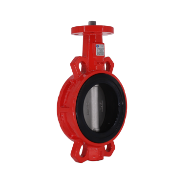 無靠背對(duì)夾式無頭蝶閥