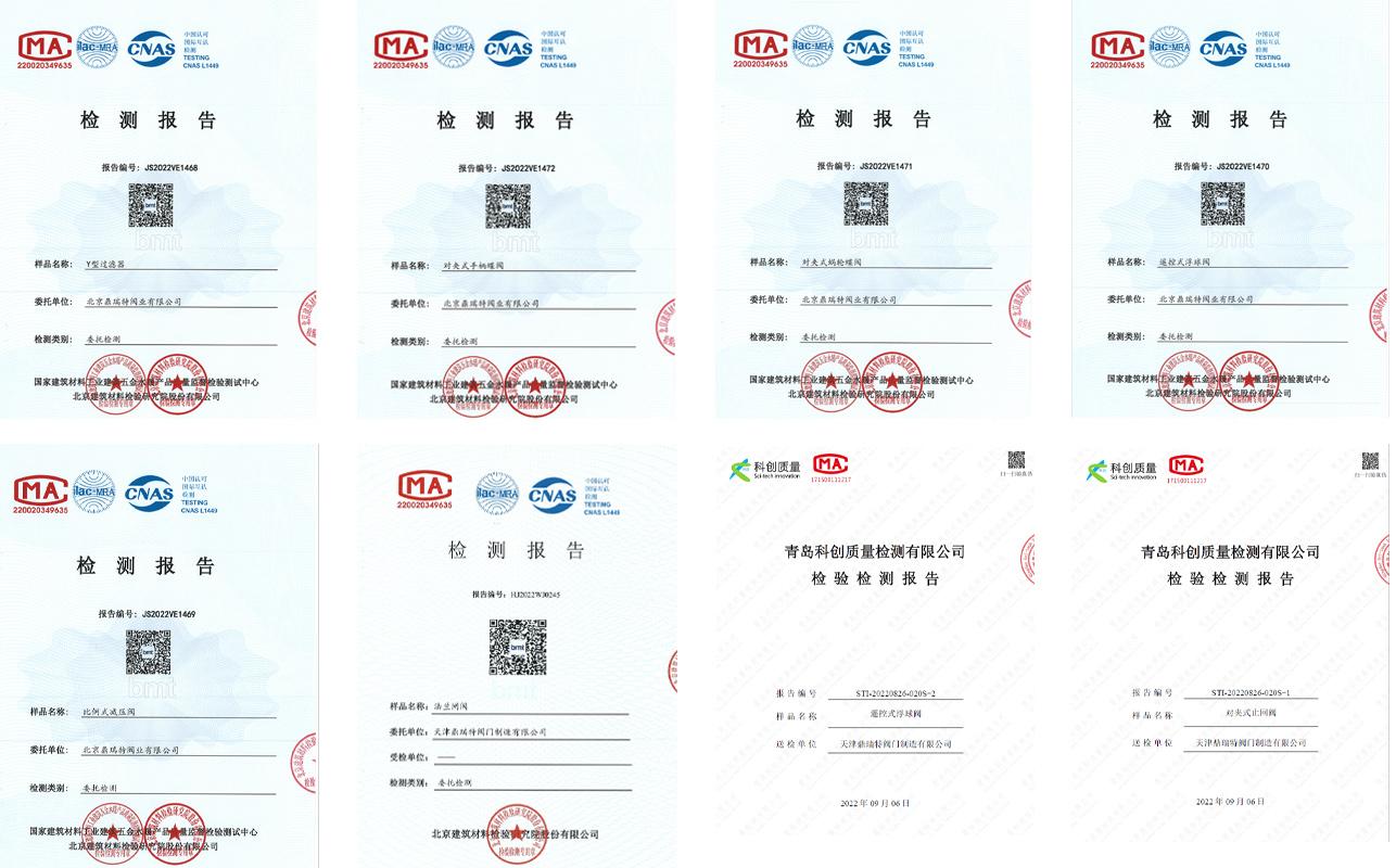 檢測(cè)報(bào)告(1)